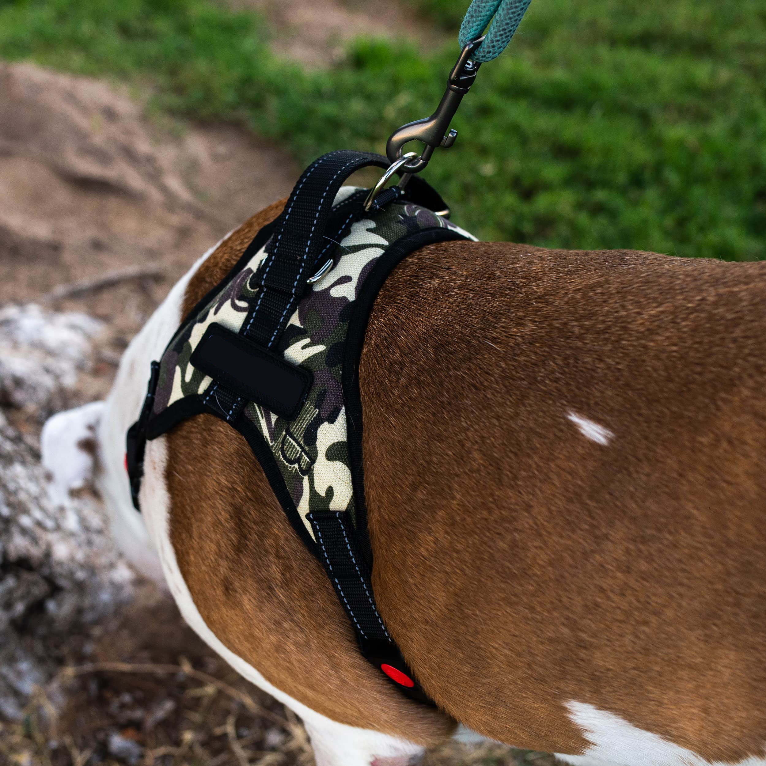 Arnés personalizado para perros sin tirones 